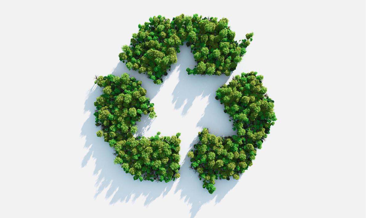 Recycling symbol made of green trees.