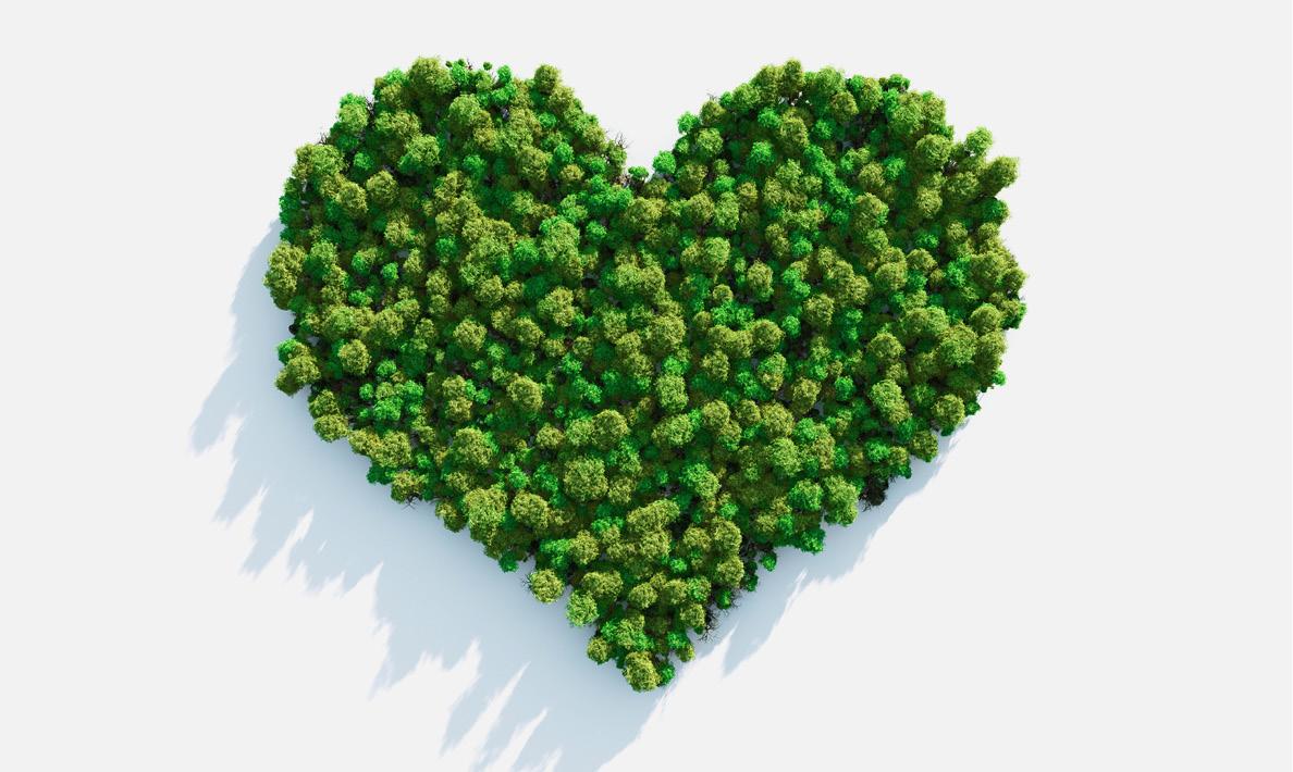 Heart-shaped forest symbolizing love for nature.