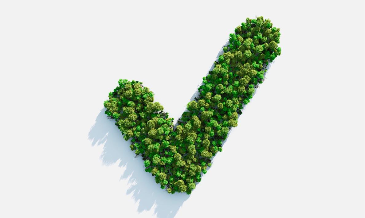 Checkmark shape formed by trees.