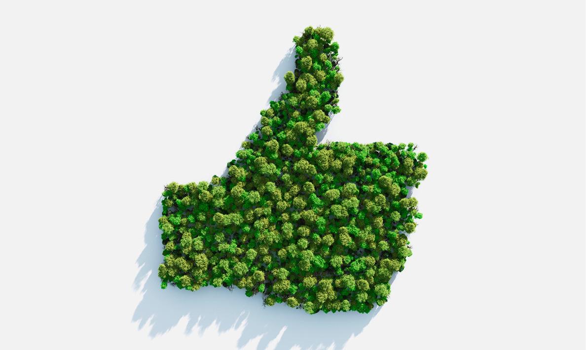 Forest forming thumbs-up shape for nature approval